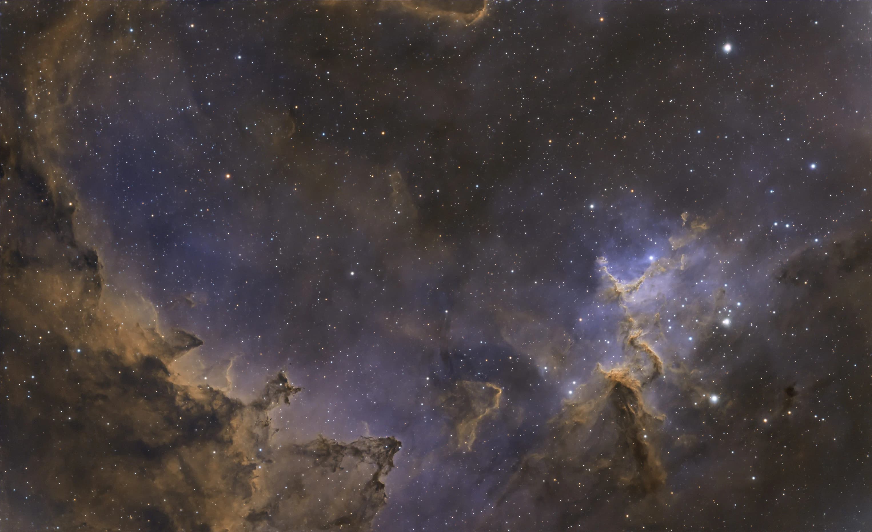 Melotte 15, the central star cluster powering the Heart Nebula (IC 1805).