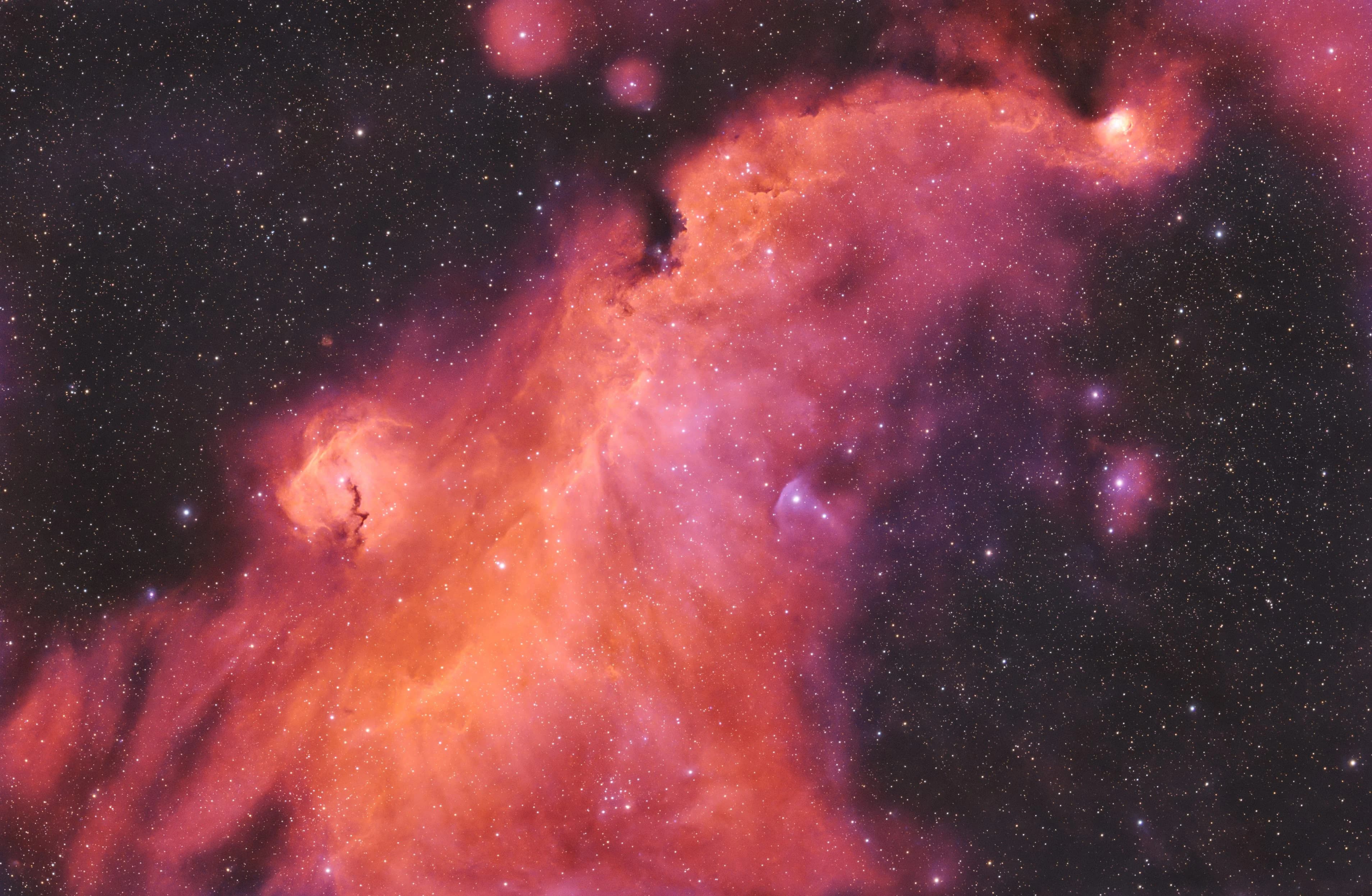 The Seagull Nebula (IC 2177) processed in a Dynamic HOO palette to highlight faint oxygen emissions.