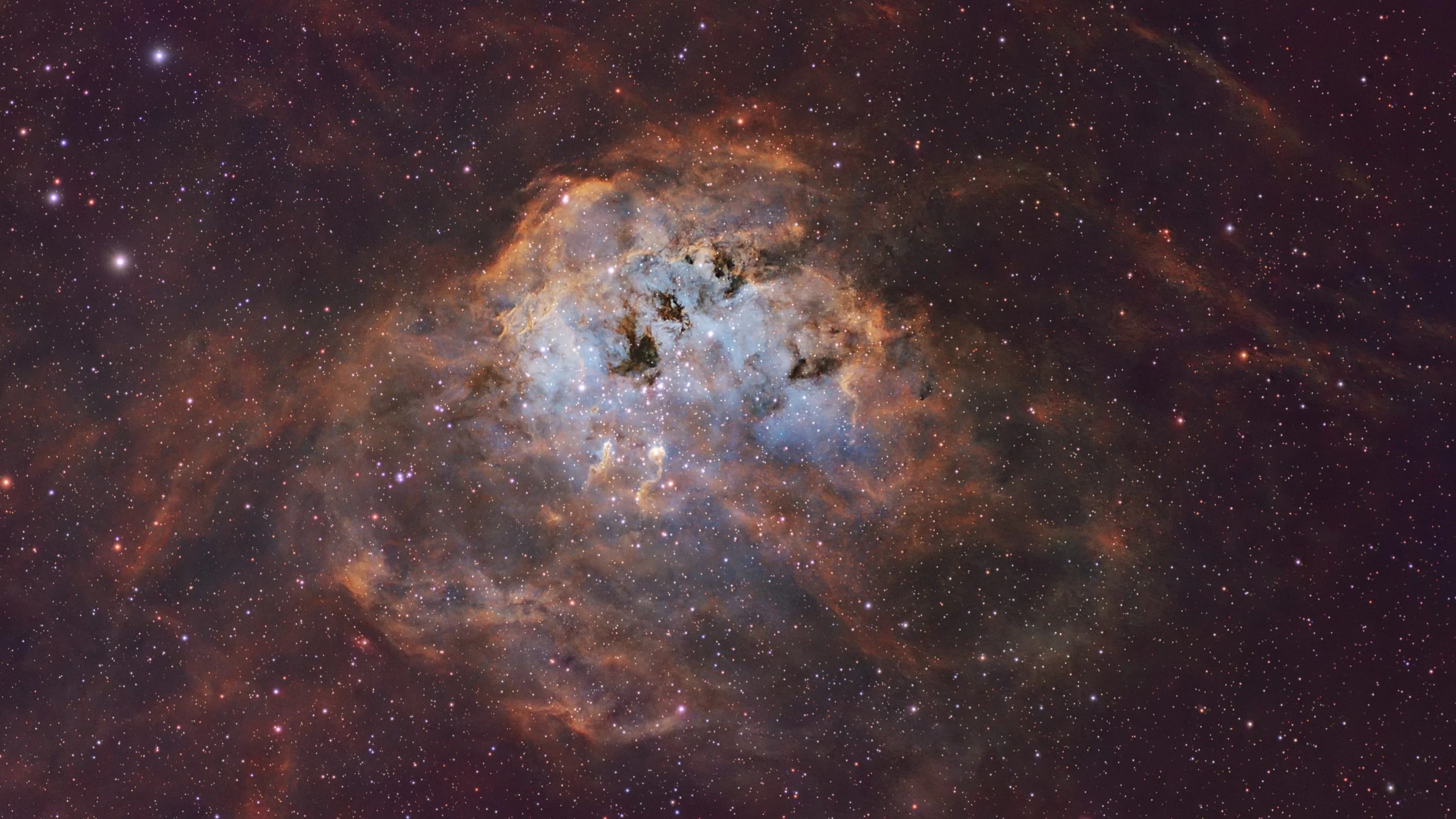 Detailed SHO palette image of the Tadpole Nebula (IC 410) showing the distinct dusty tadpole structures.